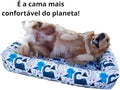 Cama Impermeável para Cachorros – 100% Lavável e Resistente